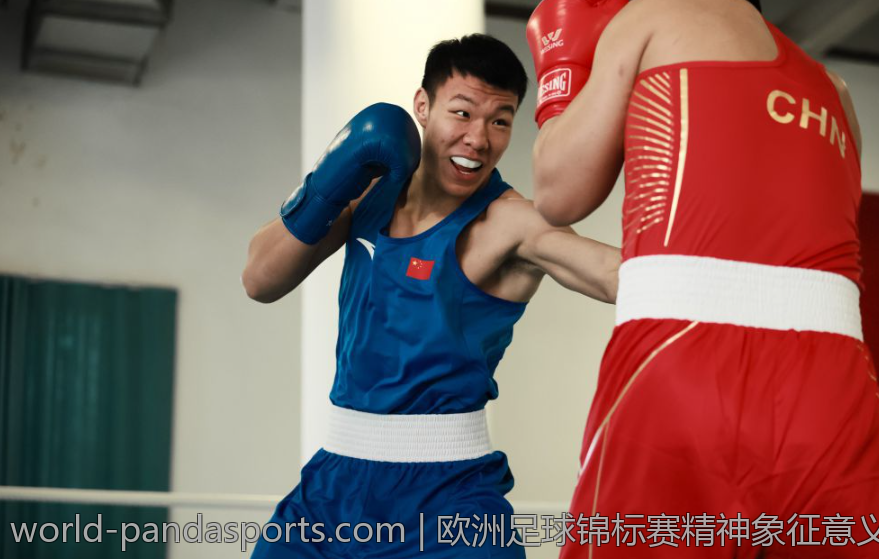 欧洲足球锦标赛精神象征意义
